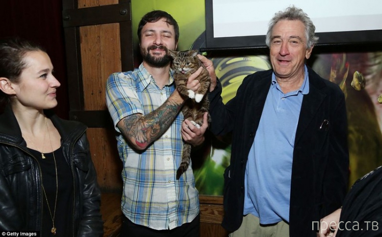 Lil Bub -       (6 )