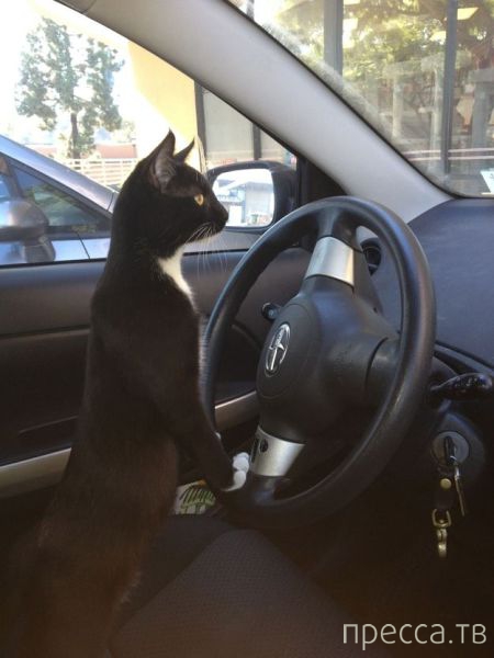 ����� �������� - �������� ��������, ����� 18 (49 ����)