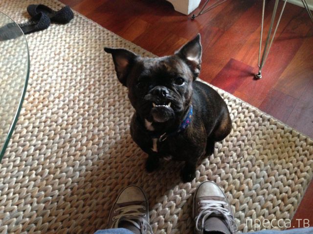 ����� �������� - �������� ��������, ����� 18 (49 ����)