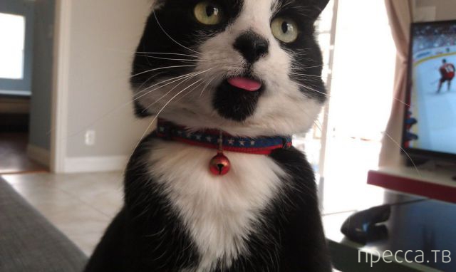 ����� �������� - �������� ��������, ����� 18 (49 ����)