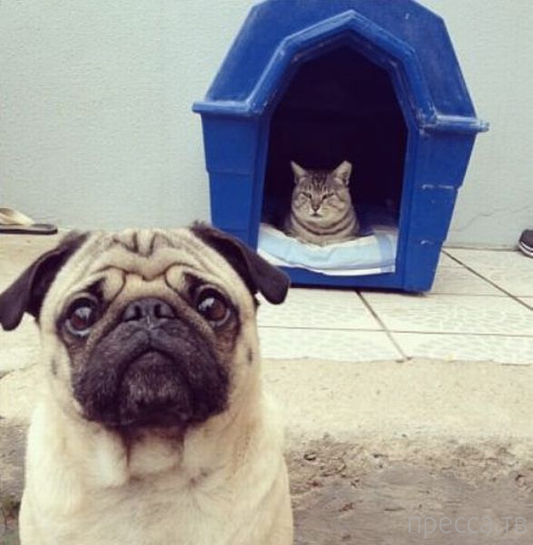 ����� �������� - �������� ��������, ����� 18 (49 ����)