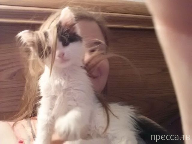 ����� �������� - �������� ��������, ����� 18 (49 ����)