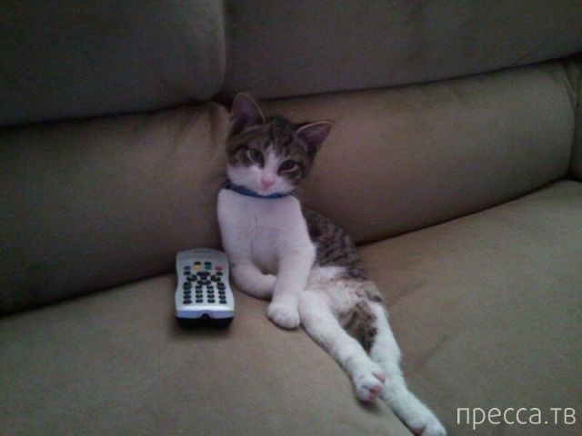 ����� �������� - �������� ��������, ����� 18 (49 ����)