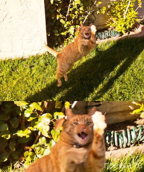 ����� �������� - �������� ��������, ����� 19 (50 ����)