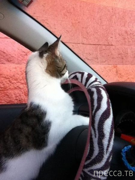 ����� �������� - �������� ��������, ����� 19 (50 ����)