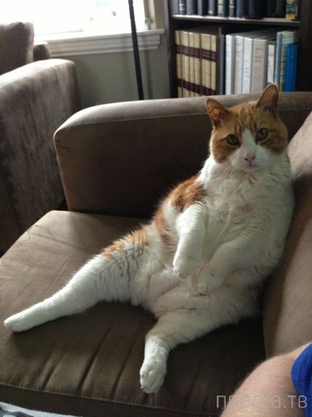 ����� �������� - �������� ��������, ����� 19 (50 ����)