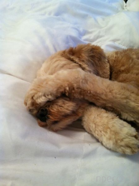 ����� �������� - �������� ��������, ����� 19 (50 ����)