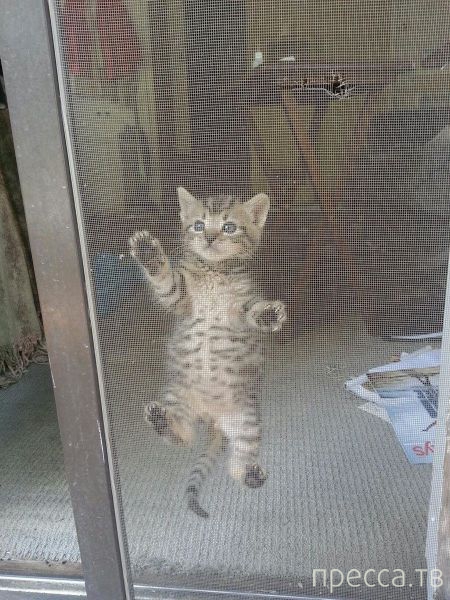 ����� �������� - �������� ��������, ����� 19 (50 ����)