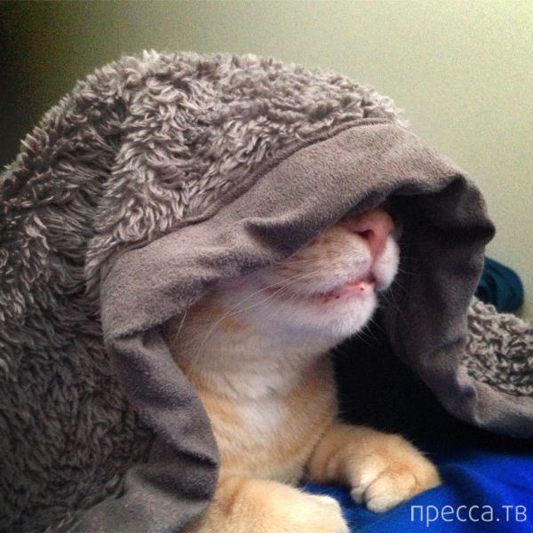 ����� �������� - �������� ��������, ����� 19 (50 ����)