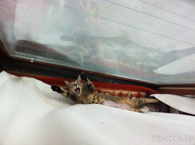 ����� �������� - �������� ��������, ����� 19 (50 ����)