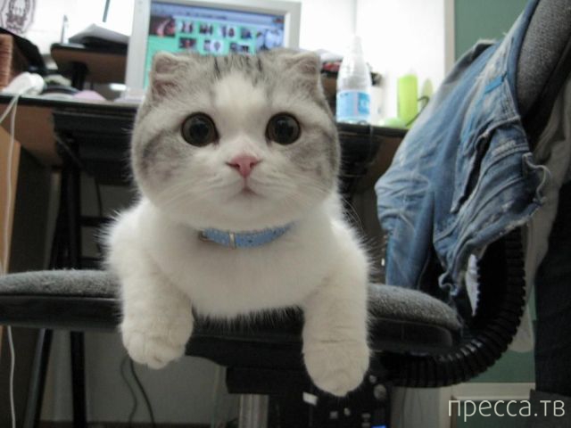 ����� �������� - �������� ��������, ����� 19 (50 ����)