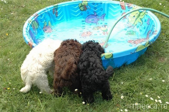 ����� �������� - �������� ��������, ����� 19 (50 ����)