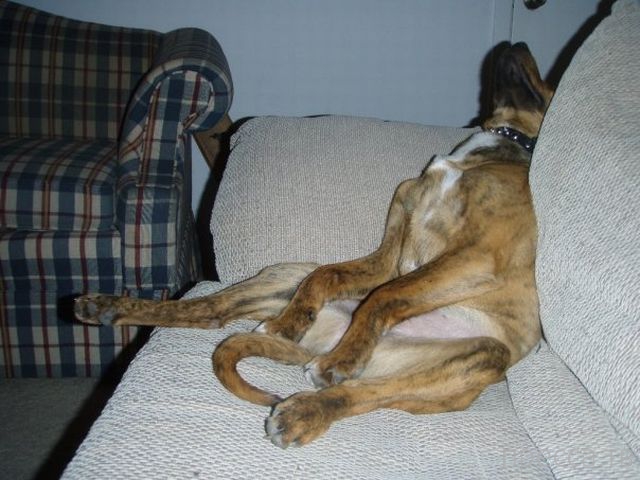 ����� �������� - �������� ��������, ����� 19 (50 ����)