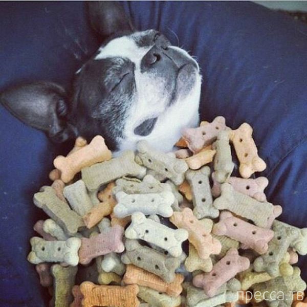 ����� �������� - �������� ��������, ����� 19 (50 ����)