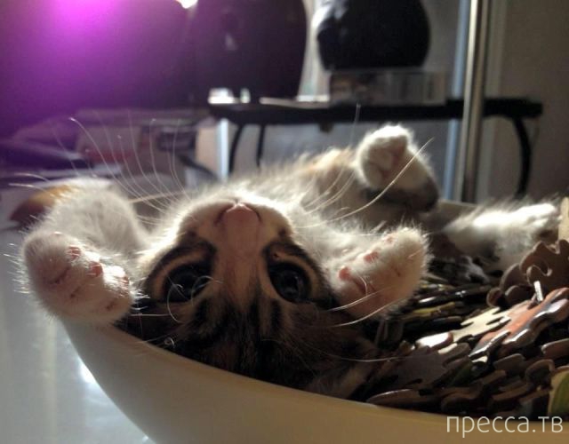 ����� �������� - �������� ��������, ����� 19 (50 ����)