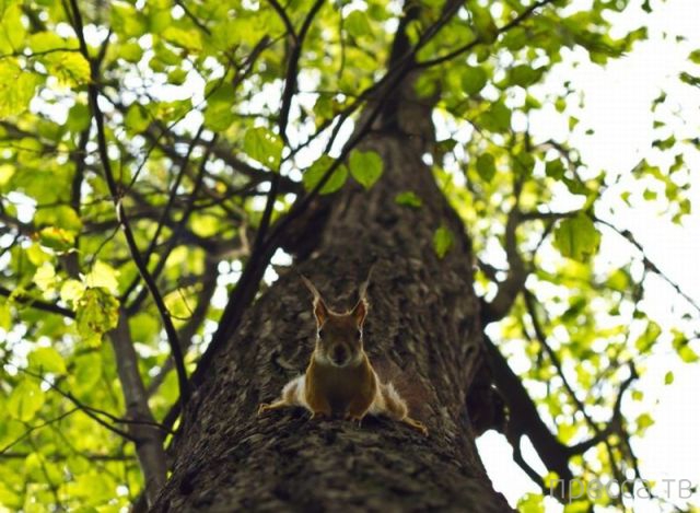 ����� �������� - �������� ��������, ����� 19 (50 ����)