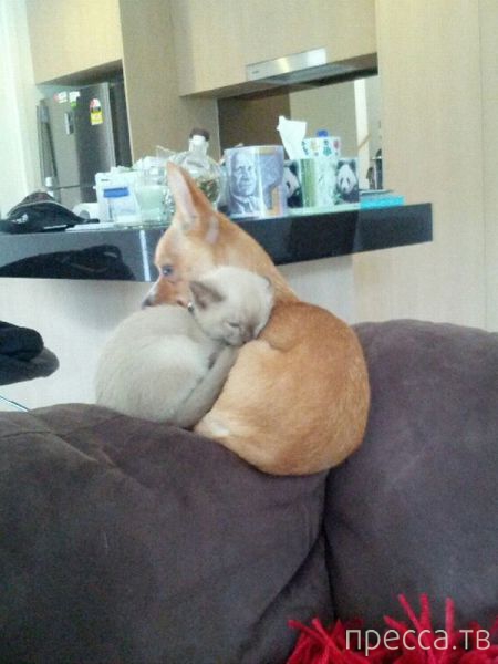 ����� �������� - �������� ��������, ����� 19 (50 ����)