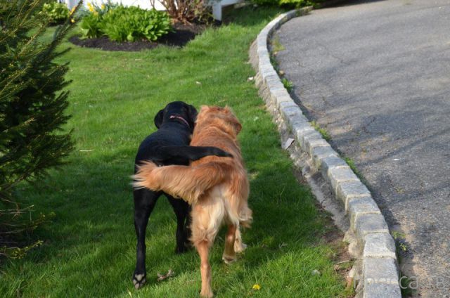 ����� �������� - �������� ��������, ����� 19 (50 ����)