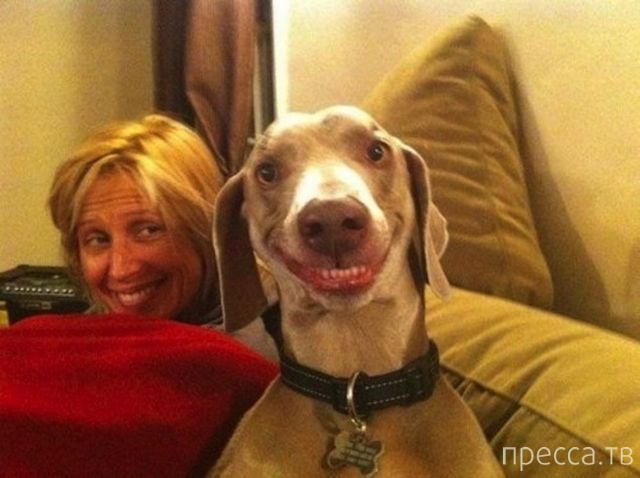 ����� �������� - �������� ��������, ����� 19 (50 ����)