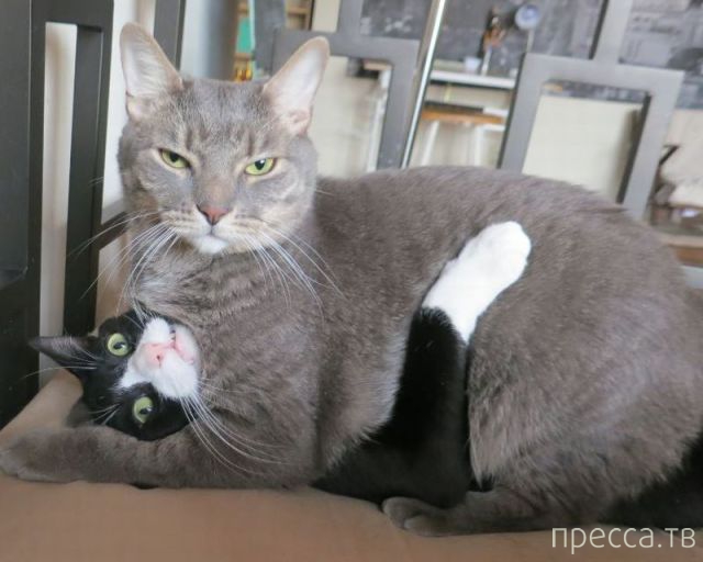 ����� �������� - �������� ��������, ����� 19 (50 ����)