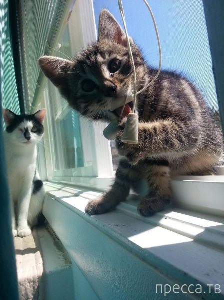 ����� �������� - �������� ��������, ����� 19 (50 ����)