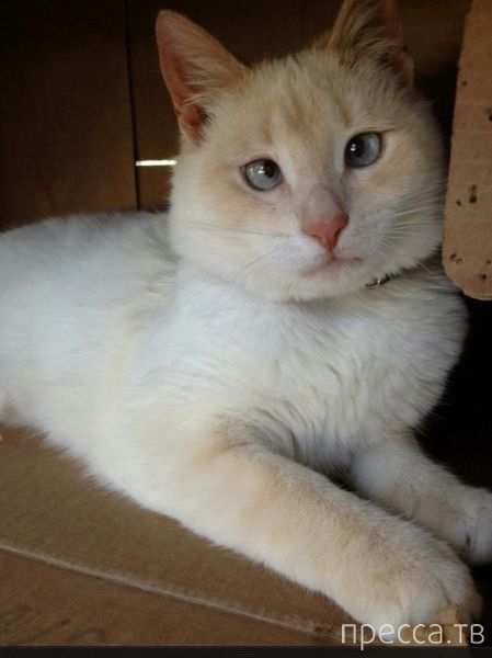 ����� �������� - �������� ��������, ����� 19 (50 ����)