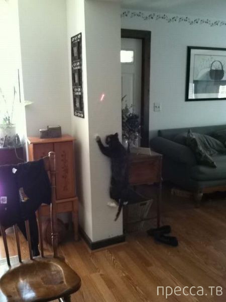 ����� �������� - �������� ��������, ����� 19 (50 ����)