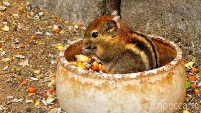 ����� �������� - �������� ��������, ����� 19 (50 ����)