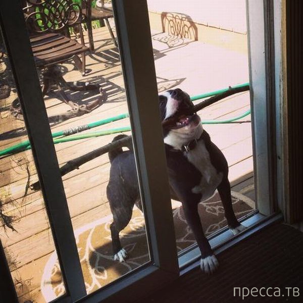 ����� �������� - �������� ��������, ����� 19 (50 ����)