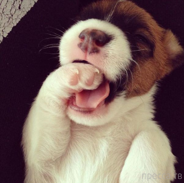 ����� �������� - �������� ��������, ����� 19 (50 ����)