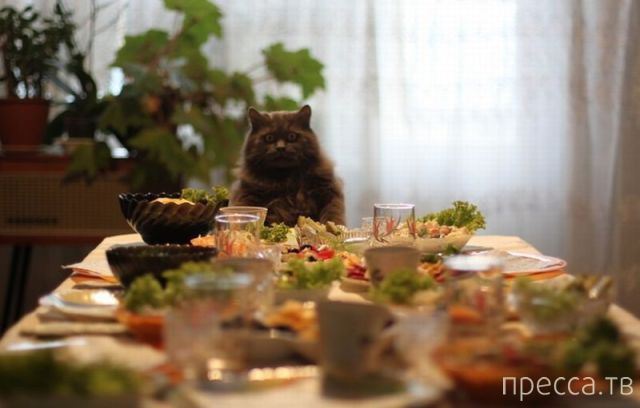 ����� �������� - �������� ��������, ����� 19 (50 ����)