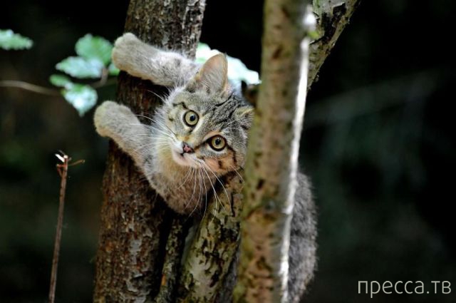 ����� �������� - �������� ��������, ����� 19 (50 ����)