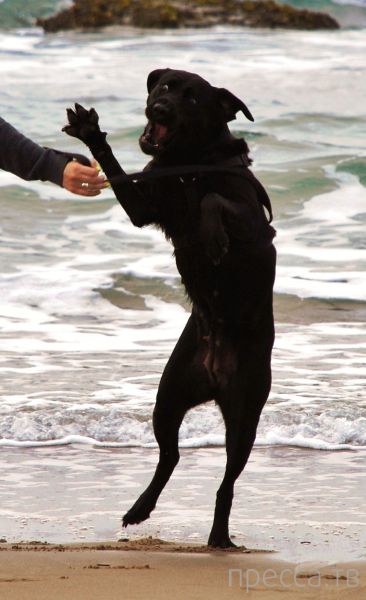 ����� �������� - �������� ��������, ����� 19 (50 ����)