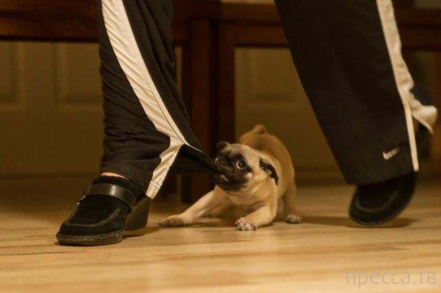 ����� �������� - �������� ��������, ����� 19 (50 ����)