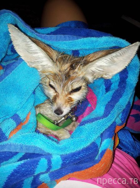 ����� �������� - �������� ��������, ����� 19 (50 ����)