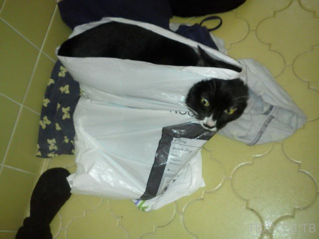 ����� �������� - �������� ��������, ����� 20 (48 ����)