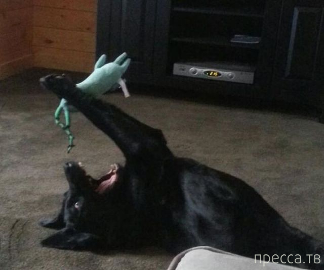 ����� �������� - �������� ��������, ����� 20 (48 ����)