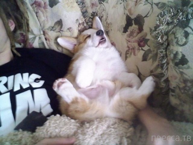 ����� �������� - �������� ��������, ����� 20 (48 ����)