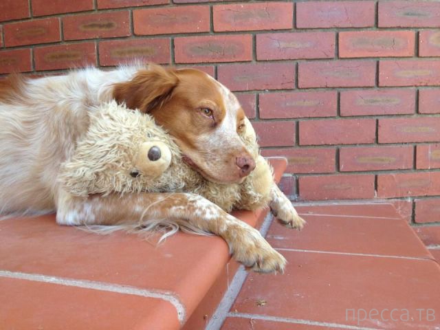 ����� �������� - �������� ��������, ����� 20 (48 ����)