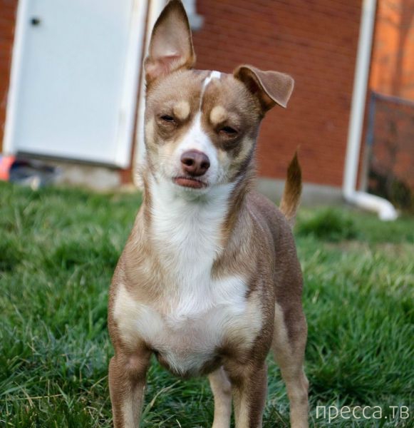 ����� �������� - �������� ��������, ����� 20 (48 ����)