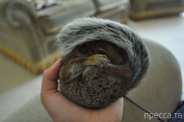 ����� �������� - �������� ��������, ����� 20 (48 ����)