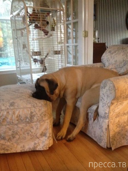 ����� �������� - �������� ��������, ����� 20 (48 ����)