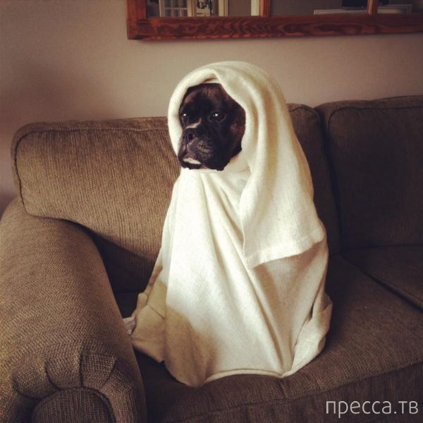 ����� �������� - �������� ��������, ����� 20 (48 ����)