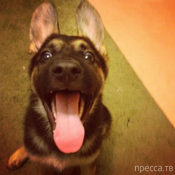 ����� �������� - �������� ��������, ����� 20 (48 ����)