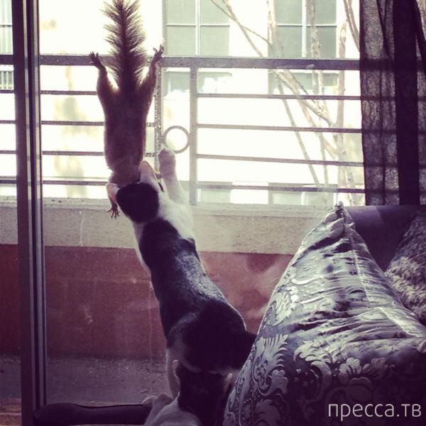 ����� �������� - �������� ��������, ����� 20 (48 ����)