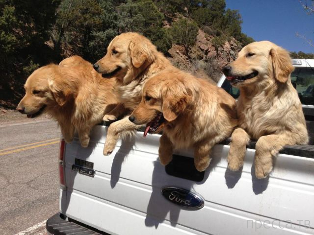 ����� �������� - �������� ��������, ����� 20 (48 ����)