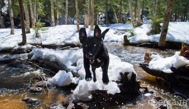 ����� �������� - �������� ��������, ����� 20 (48 ����)