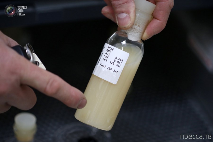 ��� ����� ������ � �����-�������������� ... (8 ����)