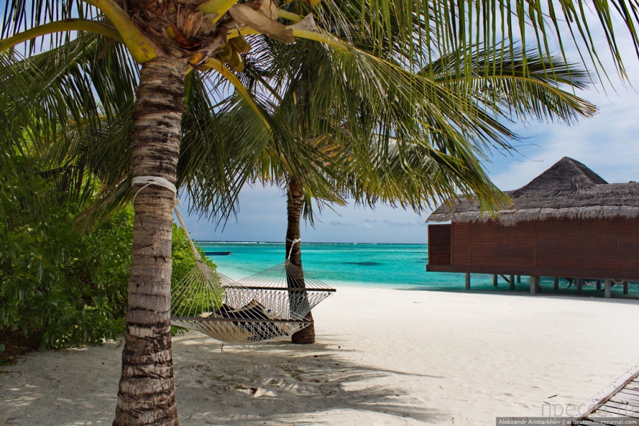 Мальдивы - пляж, песок, пальмы (17 фото)