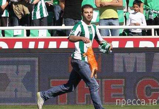 Что фанаты бросают на футбольное поле (8 фото) Что фанаты бросают на футбольное поле (8 фото)